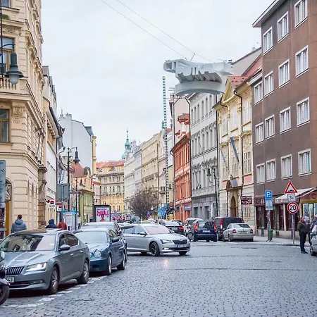 Luxury Spacious Prag